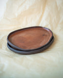 Steak Plate (Medium)