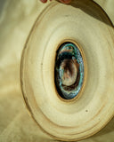 Oyster Wall Decoration