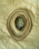Oyster Wall Decoration