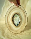 Oyster Wall Decoration