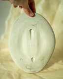 Oyster Wall Decoration